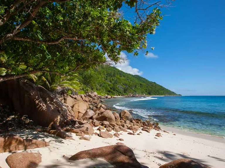 Anse Caiman trail Seychelles